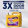 ARM &amp;amp; HAMMER Plus OxiClean Odor Blasters Fresh Burst, 128 Loads Liquid Laundry Detergent, 166.5 Fl oz  $11.38 S&amp;amp;S Shipped AMAZON
