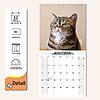 Cat Memes Hangable 2026 Monthly Wall Calendar with Large Blocks for Organizing &amp;amp; Planning, 12x24 $4 FS Prime