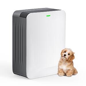 $92.95 LOWES: EdenDirect 4-Speed Sleep Mode and Timer Setting White HEPA Air Purifier (Covers: 1485-sq ft )