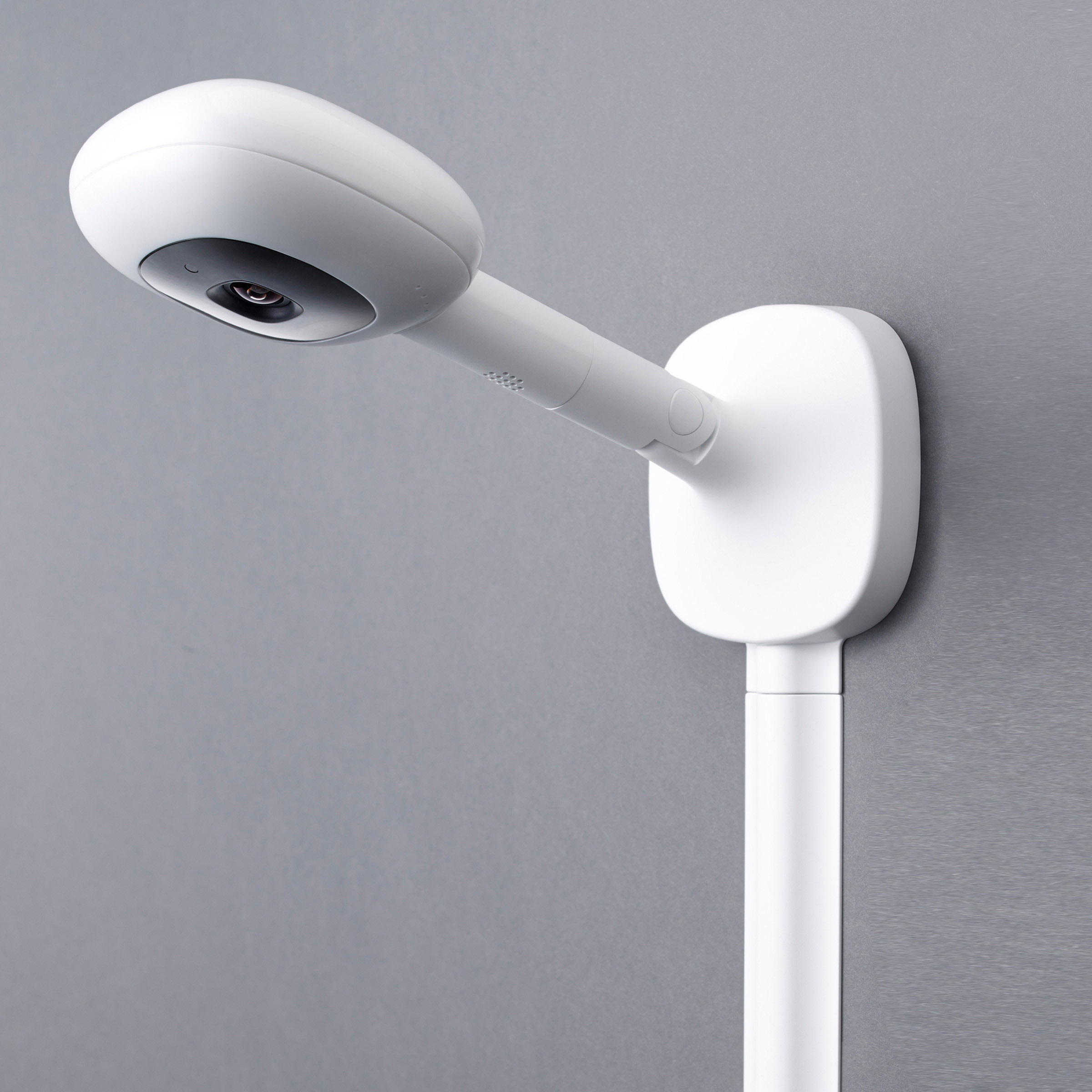 nanit google home