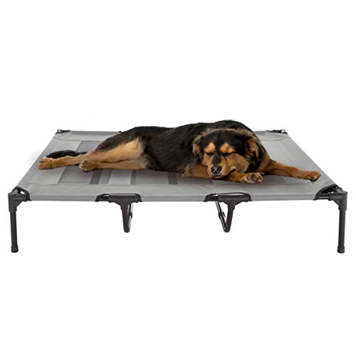 48"x35.5" Elevated Dog Bed w/ Non-Slip Feet (Gray) $27.05 + Free Shipping