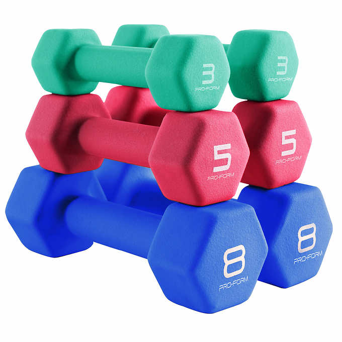 Costco Members 32 lb ProForm Neoprene Dumbbell Set Pairs of 3lb