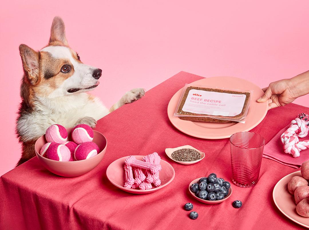 Ollie: Win a Free Box of Ollie Fresh Dog Food! 18+ 11/17