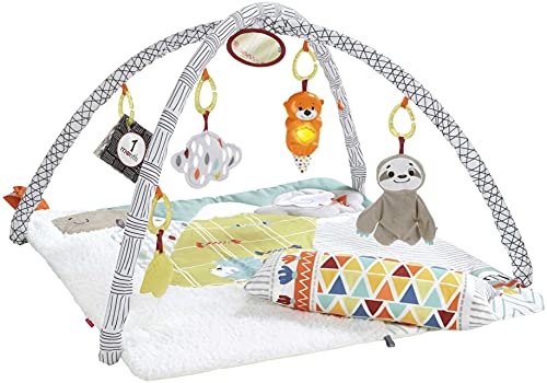 Fisher-Price Perfect Sense Deluxe Gym, Plush Infant Play Mat with Toys $39.99 + Free Shipping