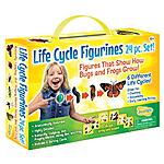 Insect Lore Life Cycle Figurines 24 Pc Set, Brown/a $16.99 + Free Shipping w/ Prime or on $25+