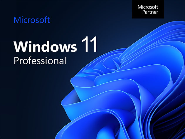 Microsoft Windows 11 Pro $40