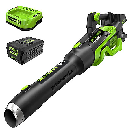 Save $60 on Greenworks Cordless Leaf Blower!