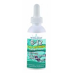 2-Ounce WELLESSE Vitamin B-12 Sublingual Liquid Vitamin Supplement, $3.80 w/S&amp;S, (Amazon Mom - $3.20)