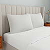 2-Pack Mainstays Memory Foam Standard/Queen Bed Pillow (White, Silver or Lilac) $16 + Free S&amp;amp;H w/ Walmart+ or on $35+