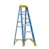 6-Ft Werner Fiberglass Step Ladder (10-Ft. Reach Height) w/ 250-Lb. Load Capacity Type I Duty Rating $59.88 at Home Depot w/ Free Store Pickup