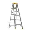 6' Werner Aluminum Step Ladder with 250 lb. Load Capacity $49 at Lowe's w/ Free Store Pickup
