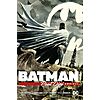 Batman by Paul Dini Omnibus Hardcover Comics Graphic Novels