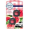Car Air Freshener Vent Clips (Sweet Watermelon Vine)