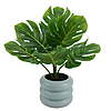 Mainstays 13.5'' Indoor Artificial Monstera Plant with Blue Bubble Vase