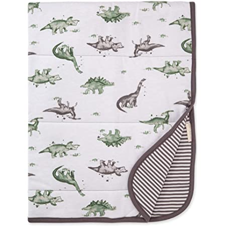 Burt's Bees Baby 30" x 40" Reversible Blankets: Happy Herbivores $12.15 or Rainbow Butterflies $12.59 + Free Shipping w/ Prime or $25+