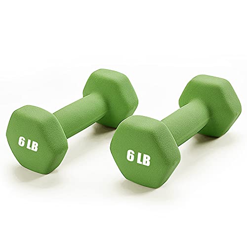 6 lb dumbbells set of sales 2
