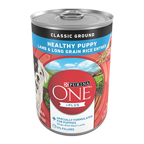 12-Pack 13-Oz Purina ONE Plus Wet Puppy Dog Food (Lamb and Long Grain Rice) $12.65 w/ S&S + Free Shipping w/ Prime or on $25+