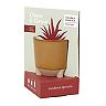 Modern Sprout Glow &amp; Grow Desert Oasis Candle + Aloe Grow Kit $14.05 or less w/ SD Cashback &amp; More Kits + Free Shipping