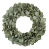 24" Home Accents Holiday Artificial Light Green Eucalyptus Wreath $10 & More + Free Shipping