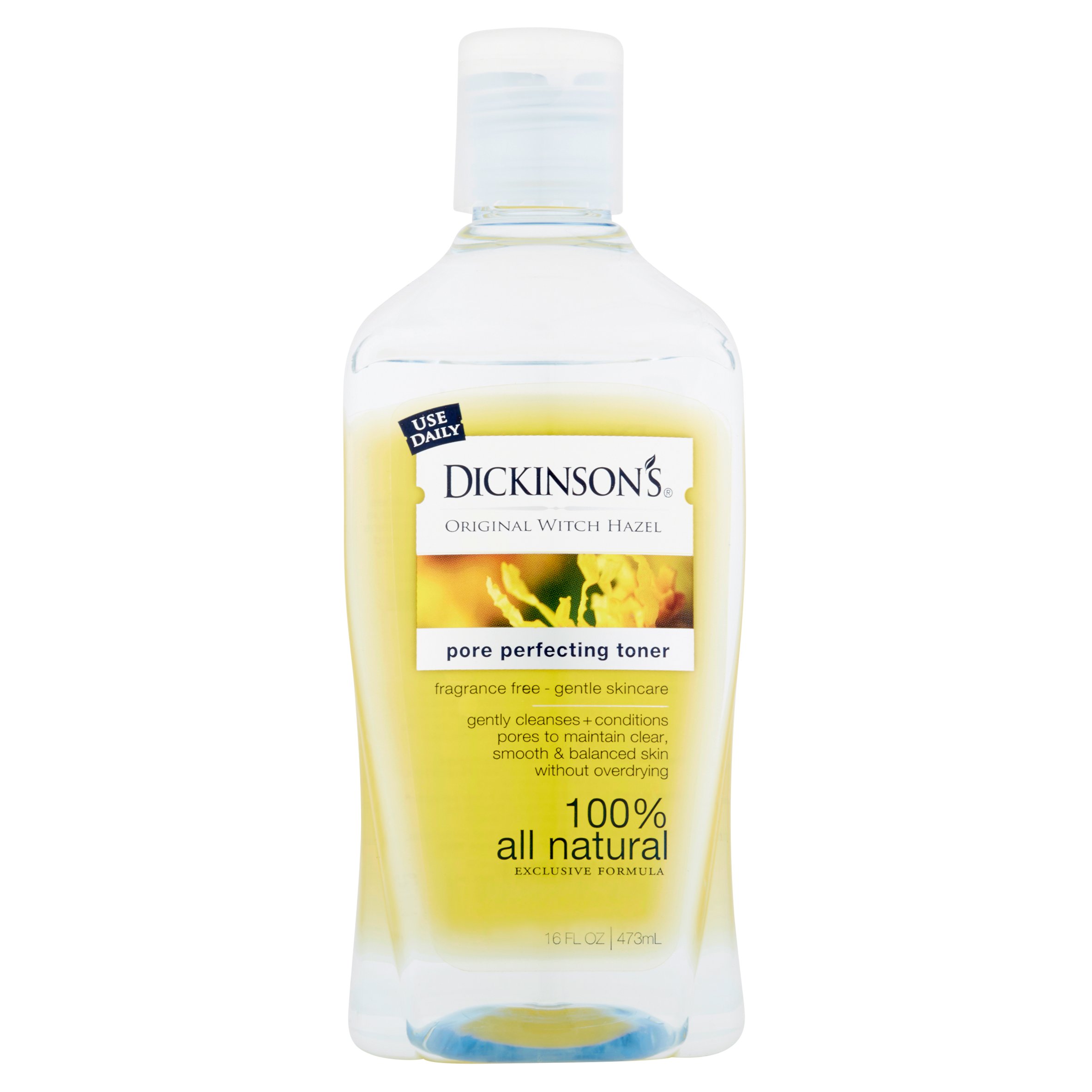 16-Oz Dickinson's Original Witch Hazel Pore Perfecting Toner $2.84 w/ S&S + Free Shipping