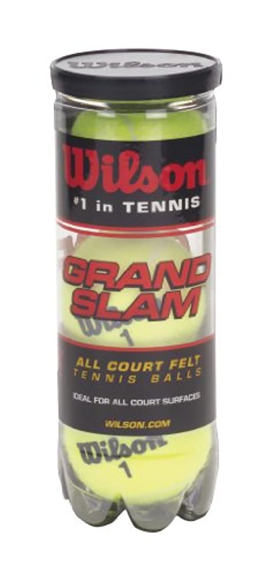 Wilson Grand Slam Extra Duty Tennis Balls (3 Ball Can) $1.95 + Free Shipping w/ Prime or $25+