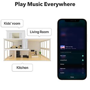  WiiM Pro AirPlay 2 Receiver, Chromecast Audio, WiFi Multiroom  Streamer, Compatible with Alexa, Siri and Google Assistant, Stream Hi-Res  Audio from Spotify,  Music, Tidal and More : Electronics