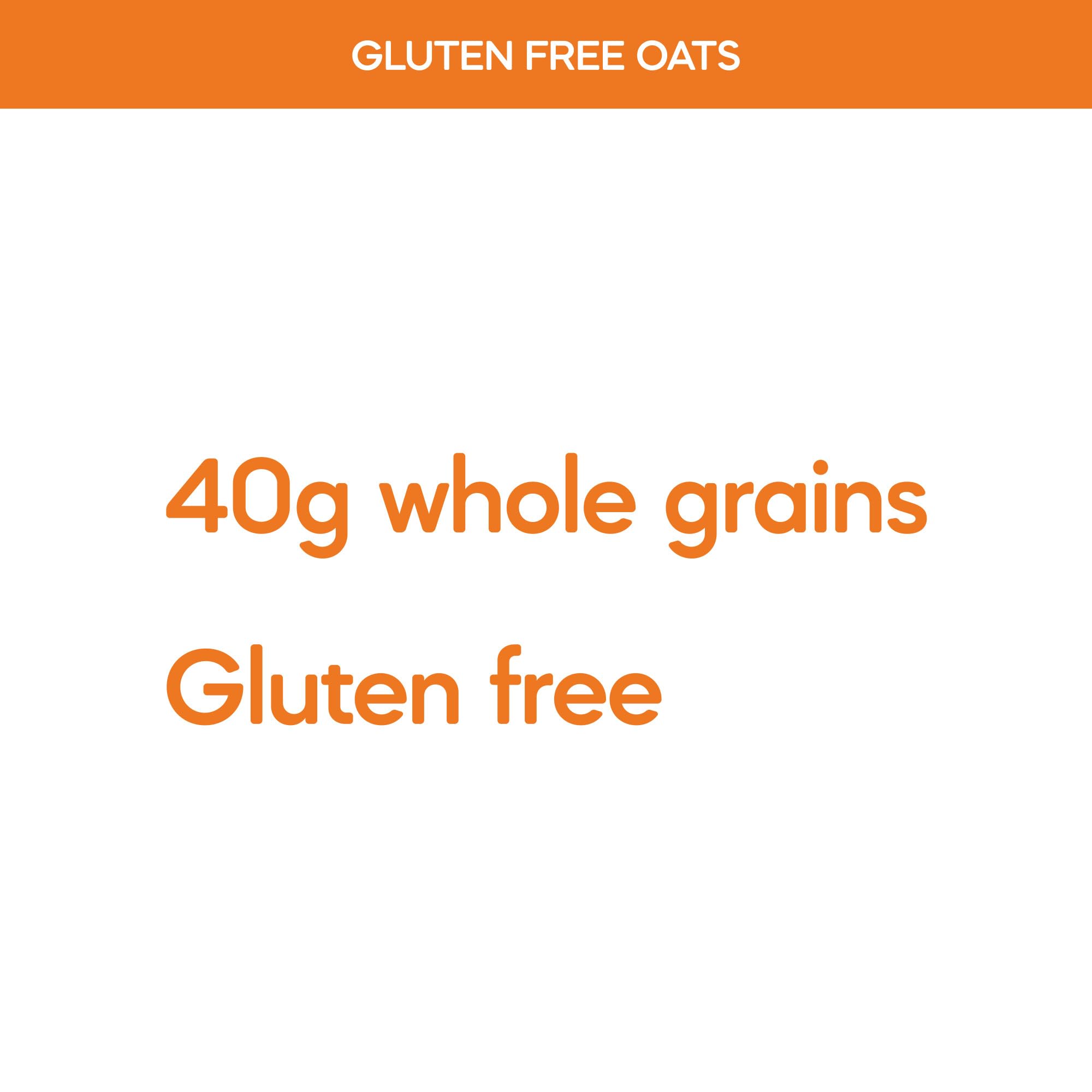 Nature's Path Organic Gluten Free Instant Oatmeal-11.3 oz Box, Pack of 8-$5.49 YMMV
