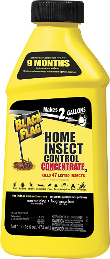 Black Flag Home Concentrate Insect Control, 16-Ounce $3.85
