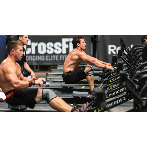Rogue fitness concept deals 2 model d