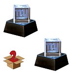 New York Giants Laser Engraved Crystal with Lighted LED Base: 2-Pack for $5.99 plus Shipping