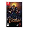 Prime Members: Darkest Dungeon II (Nintendo Switch) $18.26 + Free Shipping