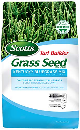 7-Lb Scotts Turf Builder Kentucky Bluegrass Mix (Northern Lawns) $22.40 + Free Shipping w/ Prime or on orders over $25
