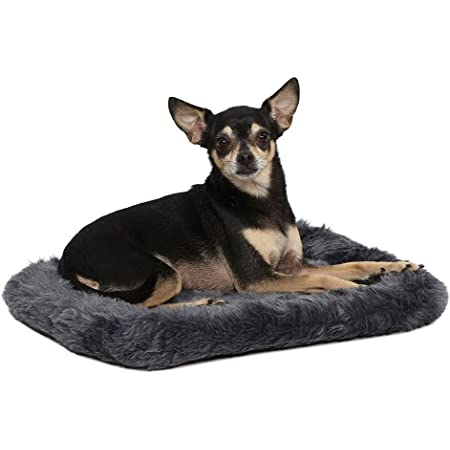 18" MidWest Bolster Pet Bed (Charcoal Gray) $4.73 + Free Shipping w/ Prime or on orders over $25
