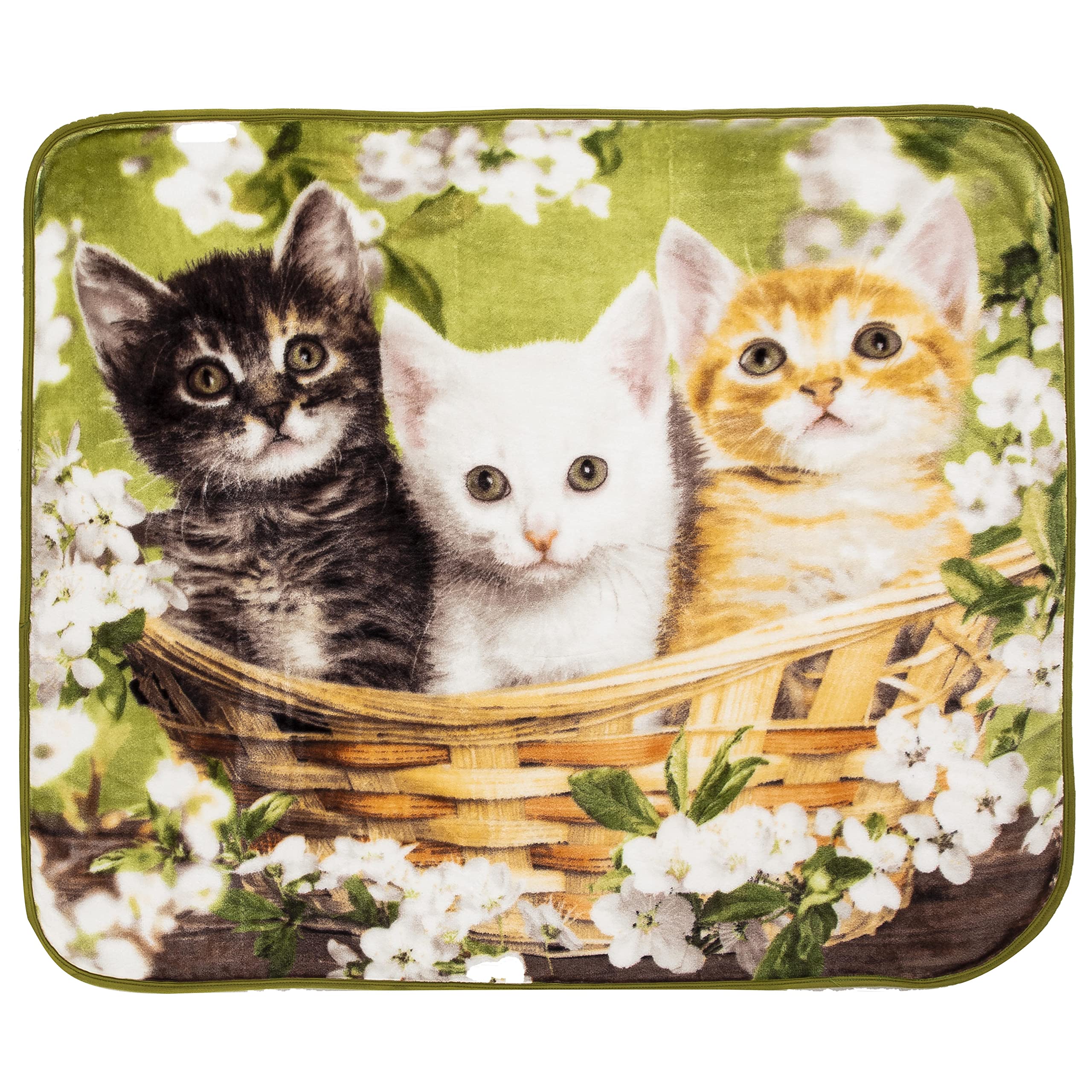 50" x 60" Northwest Raschel Throw Blanket (Basket of Kittens) $6.90 + Free Shipping w/ Prime or on orders over $35