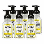6 Pack, J.R. Watkins Foaming Lemon, Scented Foam Handsoap for Bathroom or  Kitchen, USA Made and Cruelty Free, 9 fl oz: As low as $15.30 *lowest price per CCC*