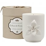 amazon.com offers Zodax Cabinet de Curiosite Candle Jar in Gift Box, White Tiger Lily for $21.62 + FS