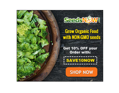 SeedsNOW: Shop Today's Deal's 10% off all seeds orders $1