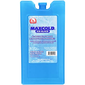 Igloo Maxcold Medium Ice Block (ice packs); $2.79 FS w/Prime (Amazon)