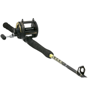 Shimano Conventional Fishing Rod/Reel Combos: 6'6 TLD 20 Combo (Medium/ Heavy)