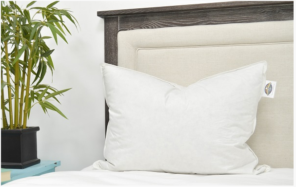 60 Off Double Down Surround Standard Size Hotel Pillow Set For