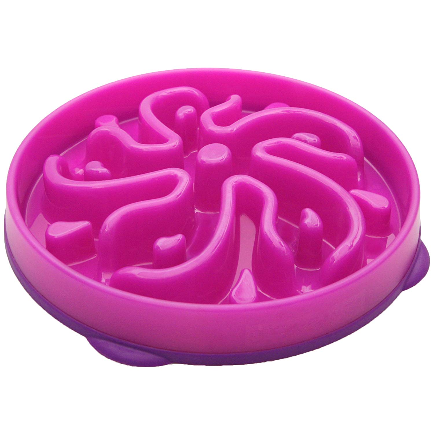 Outward Hound Fun Feeder Slo Bowl Healthy Slow Feeding Dog Bowl