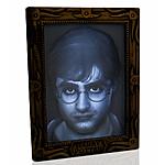 WOW! Stuff Collection Harry Potter Holopane 50 Mood Lamp $5.40