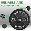 Two 45 lb Olympic Cast Iron Weight Plates @ Amazon $69.99