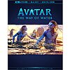 Avatar: The Way of Water (4K Ultra HD + Blu-ray + Digital 4K) $14.99 + Free Shipping w/ Prime or on $35+