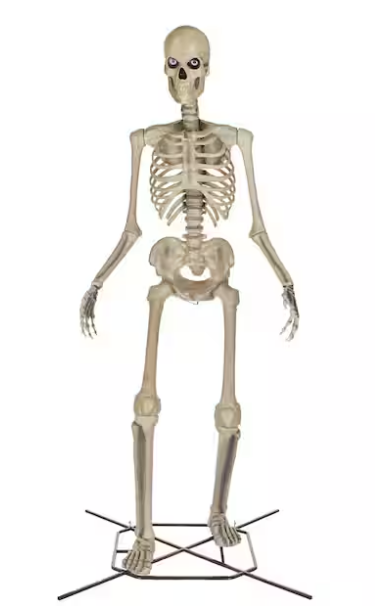 Home Depot Home Accents 12ft Skeleton "Skelly" *IN STOCK* (updated model) $299.98