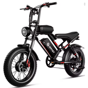 AMYET S8 Adults Electric Bike For Men 2000W $689
