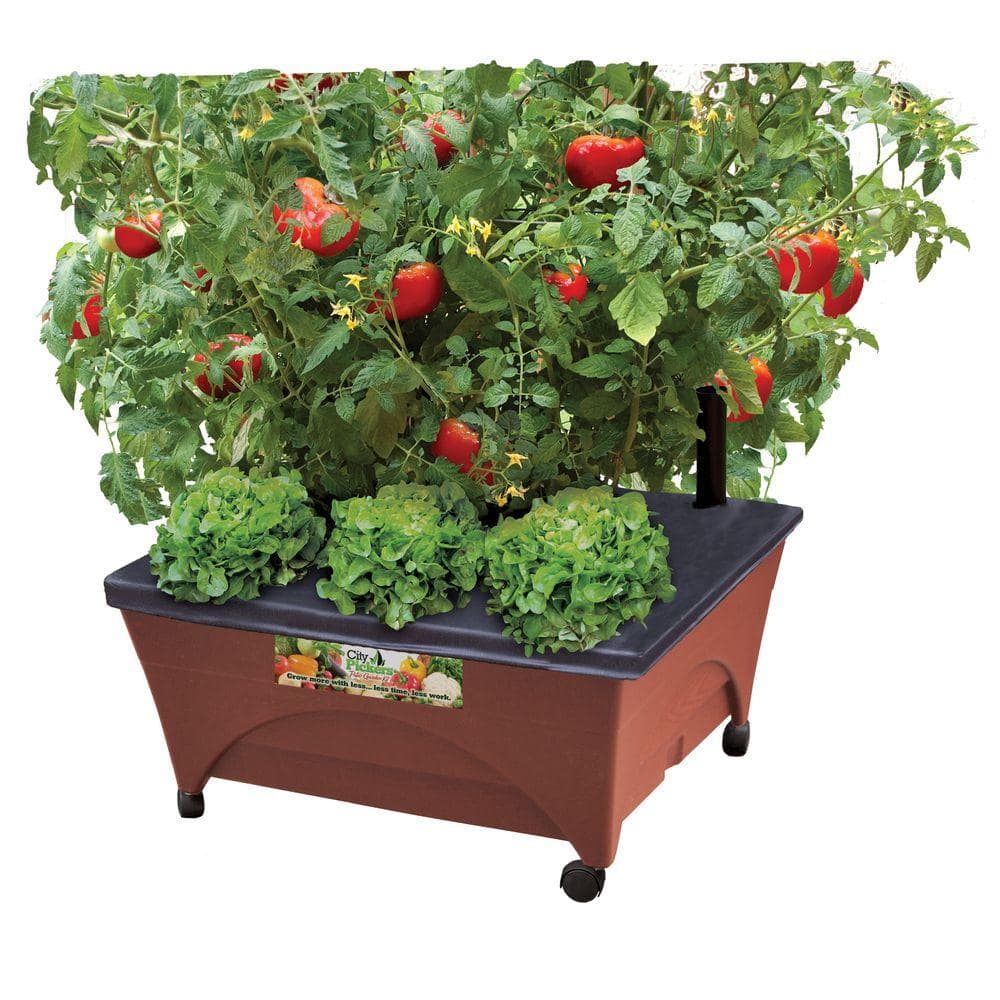 YMMV Patio Raised Garden Bed Grow Box Kit with Watering System and Casters in Terra Cotta $30.  Reg $40.  F/S from Home Depot.