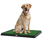 3-Layer Artificial Grass Puppy Pee Training Pad for Dogs & Small Pets (Medium) $17