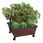 CITY PICKERS 24.5 in. x 20.5 in. Patio Raised Garden Bed Kit with Watering System and Casters $30.  Reg $38.  F/S from Home Depot.