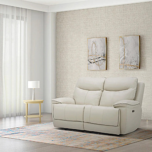 Messina Leather Power Reclining Loveseat with Power Headrests $500.  F/S from Costco.